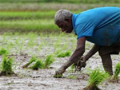 Government to launch new Unified Package Insurance Scheme for farmers