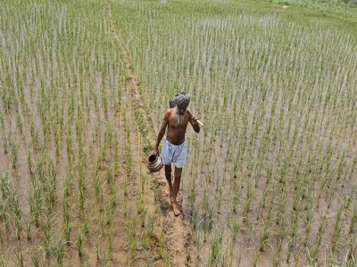 Indian farmers face heavy loss post-harvest