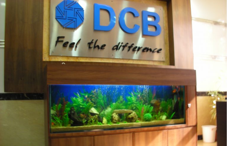 DCB Bank to go slow with expansion plans