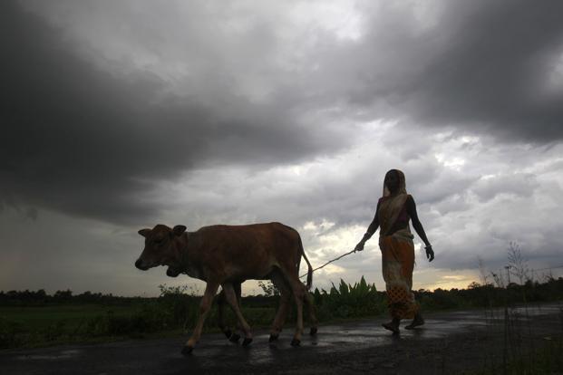 Below average monsoon takes toll on auto, FMCG stocks