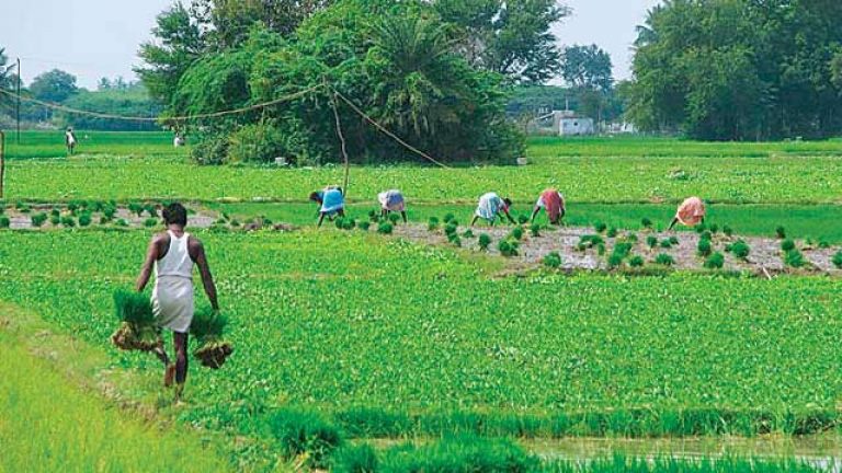 Agriculture 4.0: Empowerment to farmers