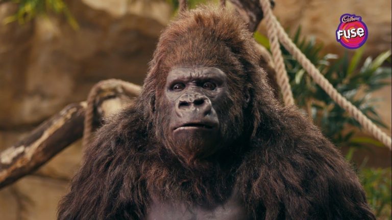 Cadbury Fuse’s new ad sees the return of ‘gorilla’ but treads close to snicker’s territory.