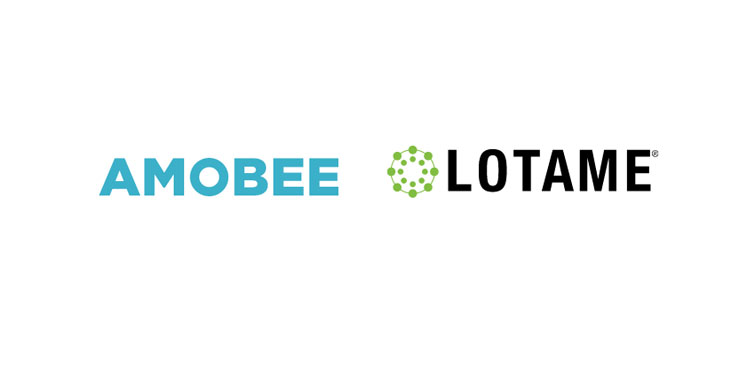 Amobee and Lotame Unveil Partnership for Global Social Audience Activation