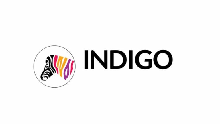 Indigo paints to raise Rs. 1,000 crore