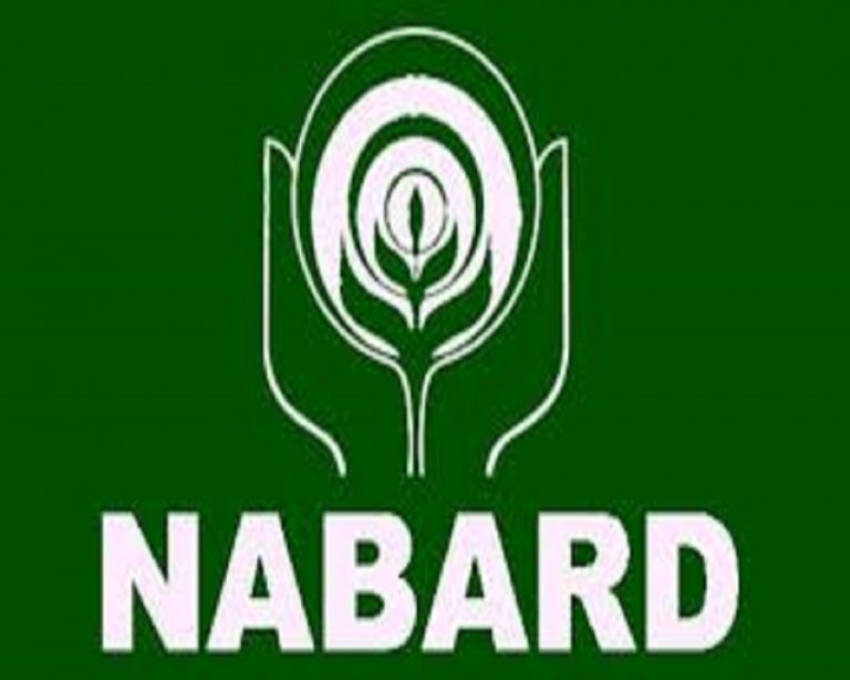 NABARD launches rural bazaar in Kamareddy