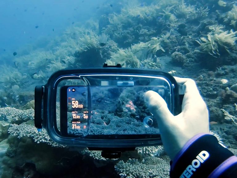 Underwater Cameras and the Future Business