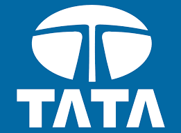 Shortage causing concern for Tata Motors in the year 2021?