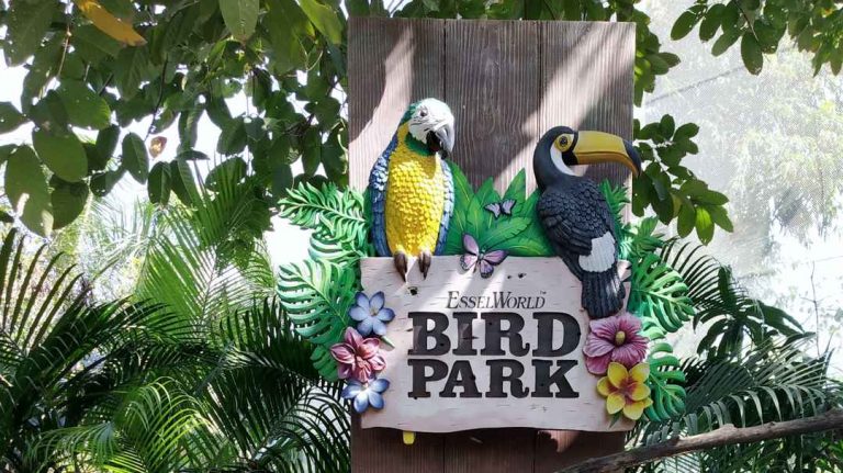 EsselWorld Bird Park rolls out #DayInALifeOfACelebirdy campaign