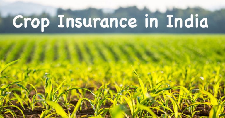Centre unlock to ‘Beed formula’: Crop Insurance