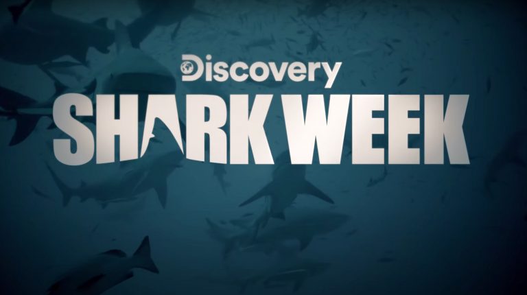 Discovery broadcasts program line-up for Shark Week 2021