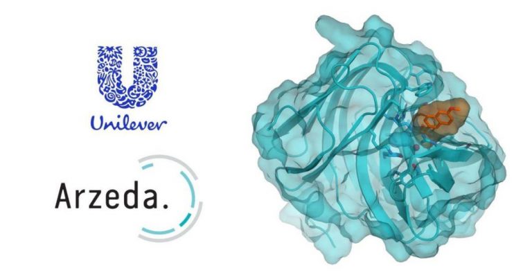 Unilever collaborates with protein design company Arzeda
