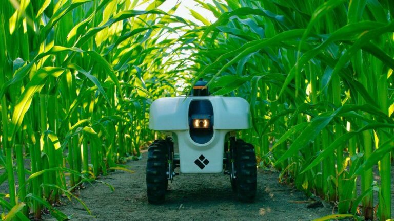 Agricultural Robots – Farmer’s New Friend