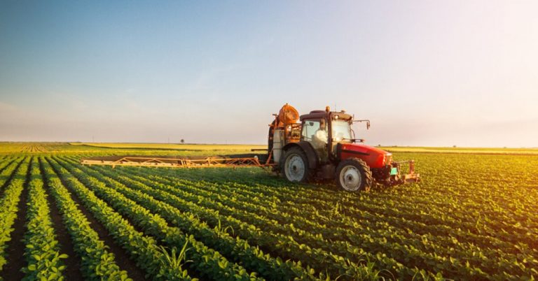 In FY21, the agriculture industry saw an increase in new firm registrations
