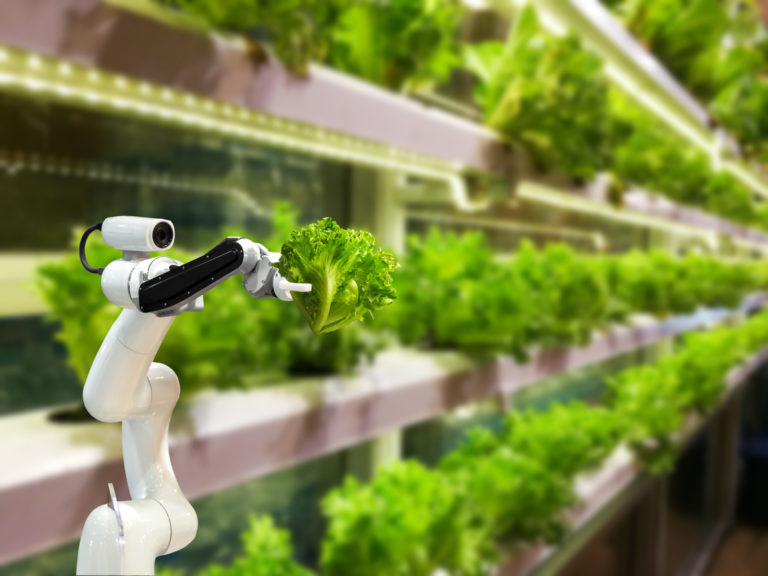 Switching to vertical farming: Case Study of Plenty