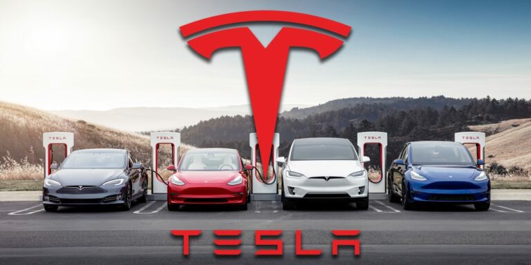 Tesla Over Top 5 BSE Combined