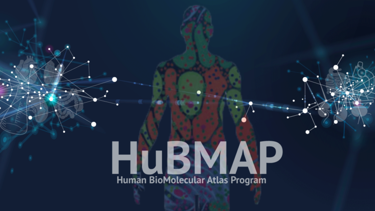 HuBMAP Inaugural Data Release Puts Detailed Anatomical Data