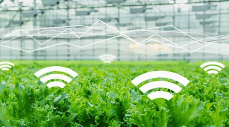 AI will enable the EU to accomplish its sustainable cultivating methodology