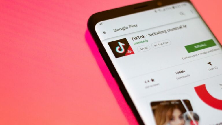 Privacy Breaches from Tiktok and Reddit
