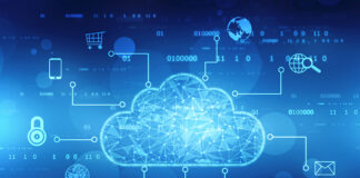 Innovative Brands Pioneering Cloud Network Security