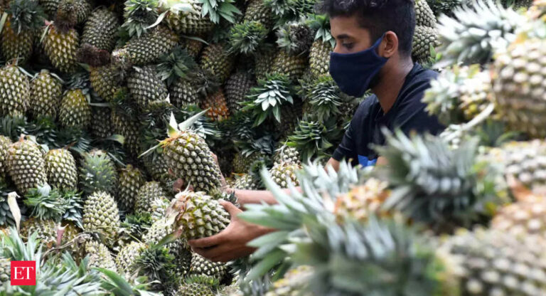 In a first, 2.5 tonnes of ‘Vazhakulam’ pineapples