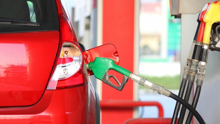 Petroleum minister on international fuel prices