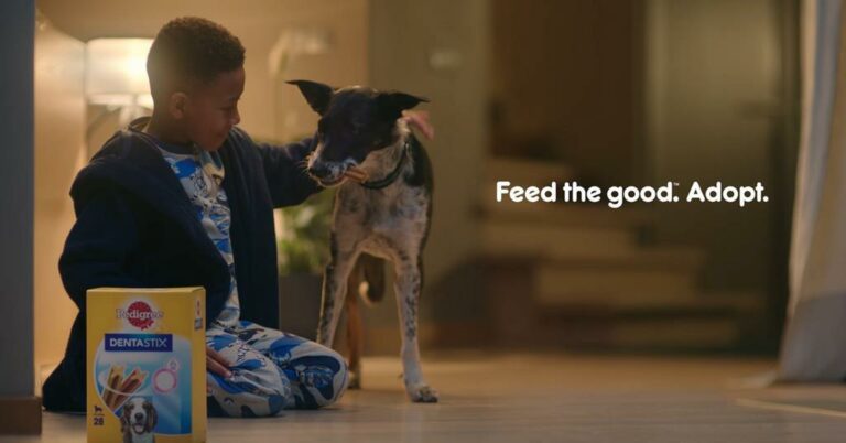 Mars Petcare launches campaign to encourage pet adoption