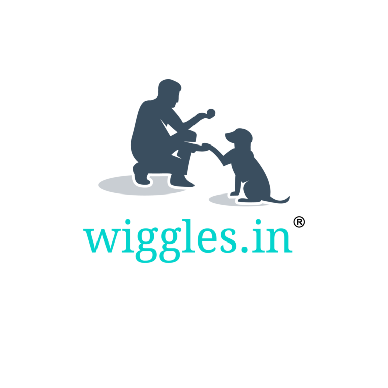 Wiggles.in celebrates Valentine’s Day with pets with its heartwarming #LoveIsInTheCare campaign