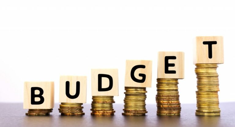 Budget focuses on various new generation demands