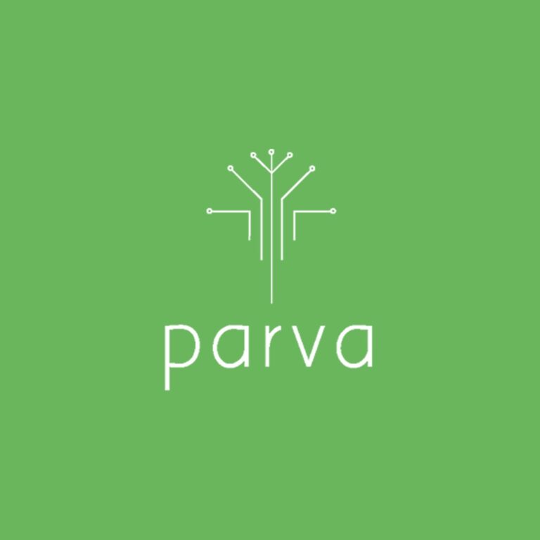 Newly launched adtech platform Parva seeks to create new opportunities for advertisers to reach premium audiences at scale