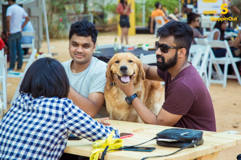 SteppinOut partners with iconic pet care brand heads up for Tails for a pet festival like no other