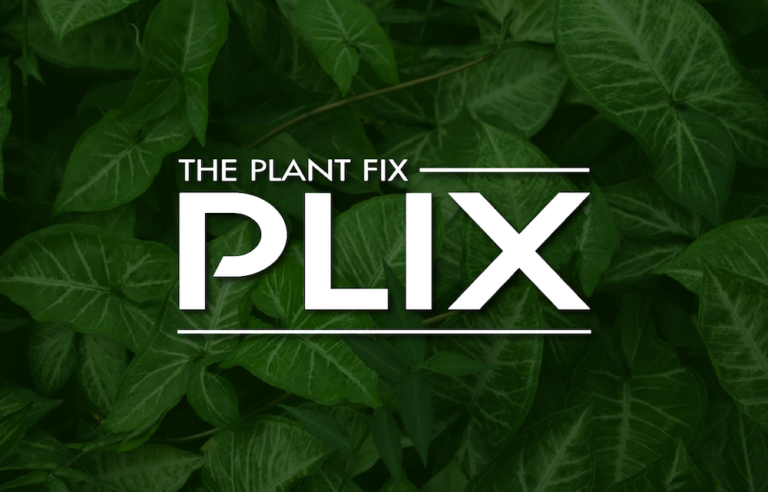 Plix initiates Female Intimate Health and PCOD Care Products