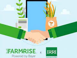 FarmRise™ and International Rice Research Institute (IRRI) collaborate to provide agronomic information and counsel to paddy farmers