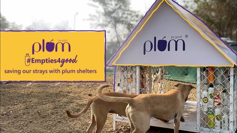 India’s leading vegan beauty brand Plum sets up ‘Plum Shelters’ under its initiative #Empties4Good to help our furry friends