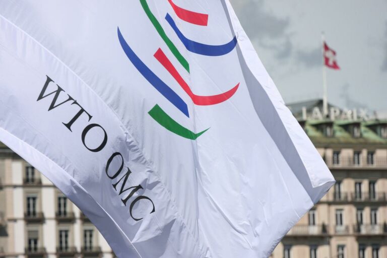 Farm and food challenge for India at WTO ministerial talks