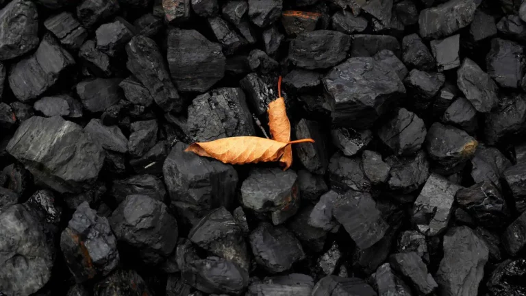 India eyes coal import from Russia, Australia, Indonesia.