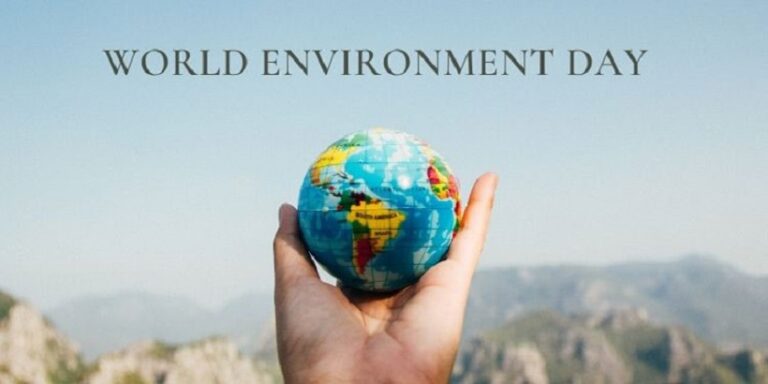 Brands risen their user strategy in World Environment Day.