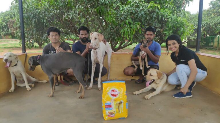 Supertails celebrates first anniversary in association with MARS Petcare by feeding over 150 stray dogs
