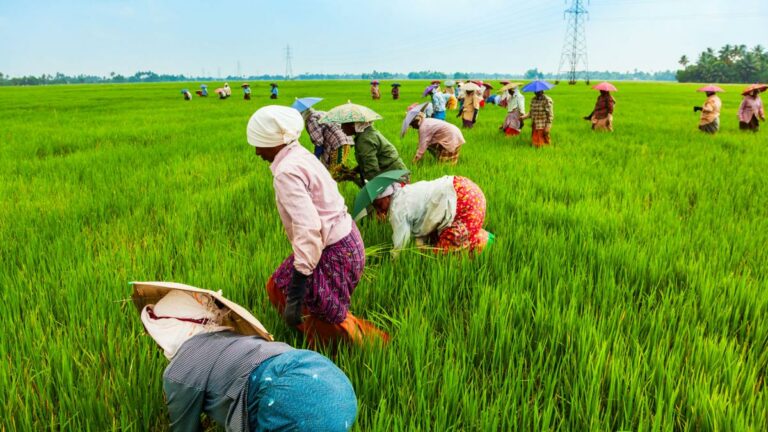Making way for new infra fund for Agri sector