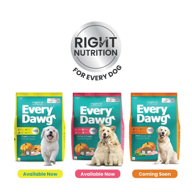 Wiggles launches EveryDawg, a dog food range that promises right nutrition