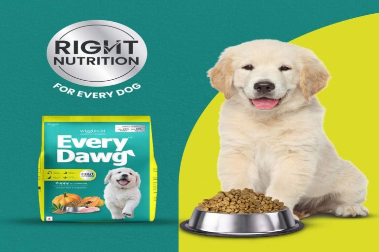 Wiggles launches new dog food range ‘EveryDawg’