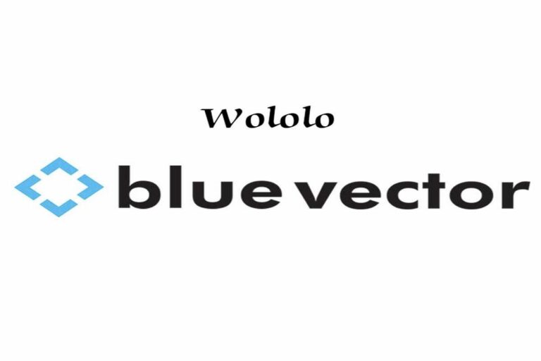 Blue Vector launches branding and illustration studio Wololo