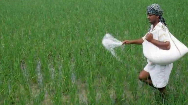 Phosphoric acid will be imported by Indian fertilizer businesses