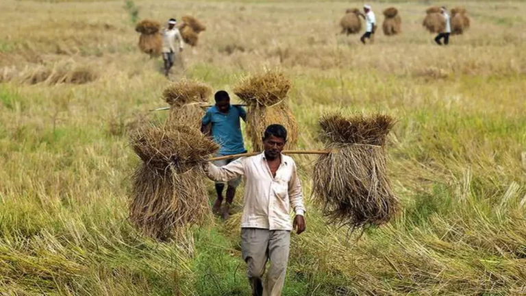 agribusiness to be honored by Indian agribusiness leaders
