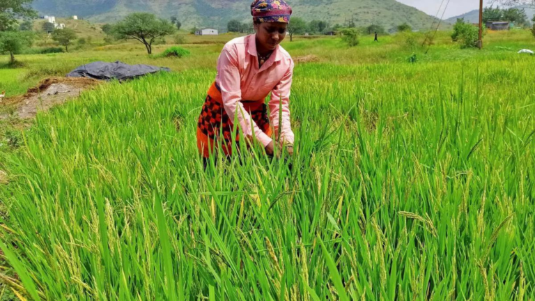 Leading AgTech Platforms Disrupting the Indian Agriculture Sector
