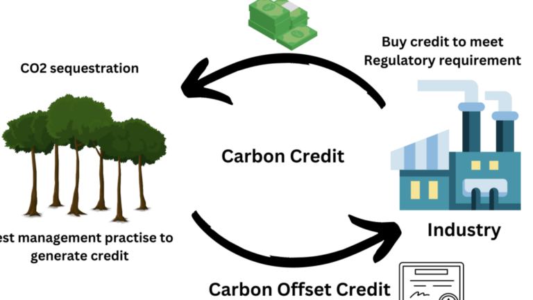 The Growing Demand for Carbon Offsetting and Carbon Credits: A Crucial Step Towards a Sustainable Future
