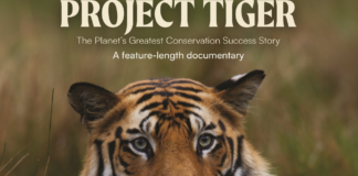 Project Tiger_Movie Poster_Nature inFocus
