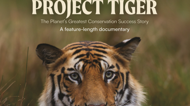 Project Tiger_Movie Poster_Nature inFocus