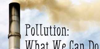 Brands suggest practical solutions to tackle Pollution