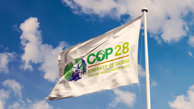 COP 28: Sustainability disclosures are pivotal in driving climate action