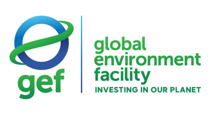 BII commits $25m to GEF South Asia Growth Fund III to support green projects in India
